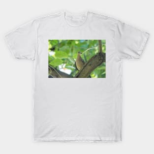 Spotted dove of hawaii T-Shirt